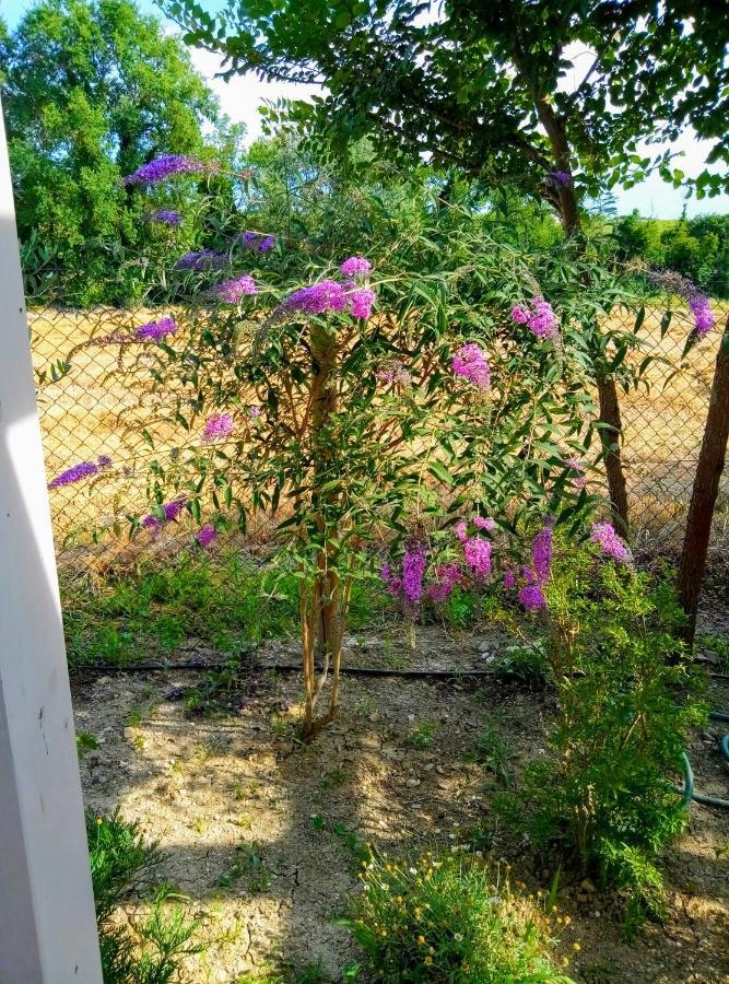 La Casa di Tara B&B Armonia e Natura Recanati Esterno foto