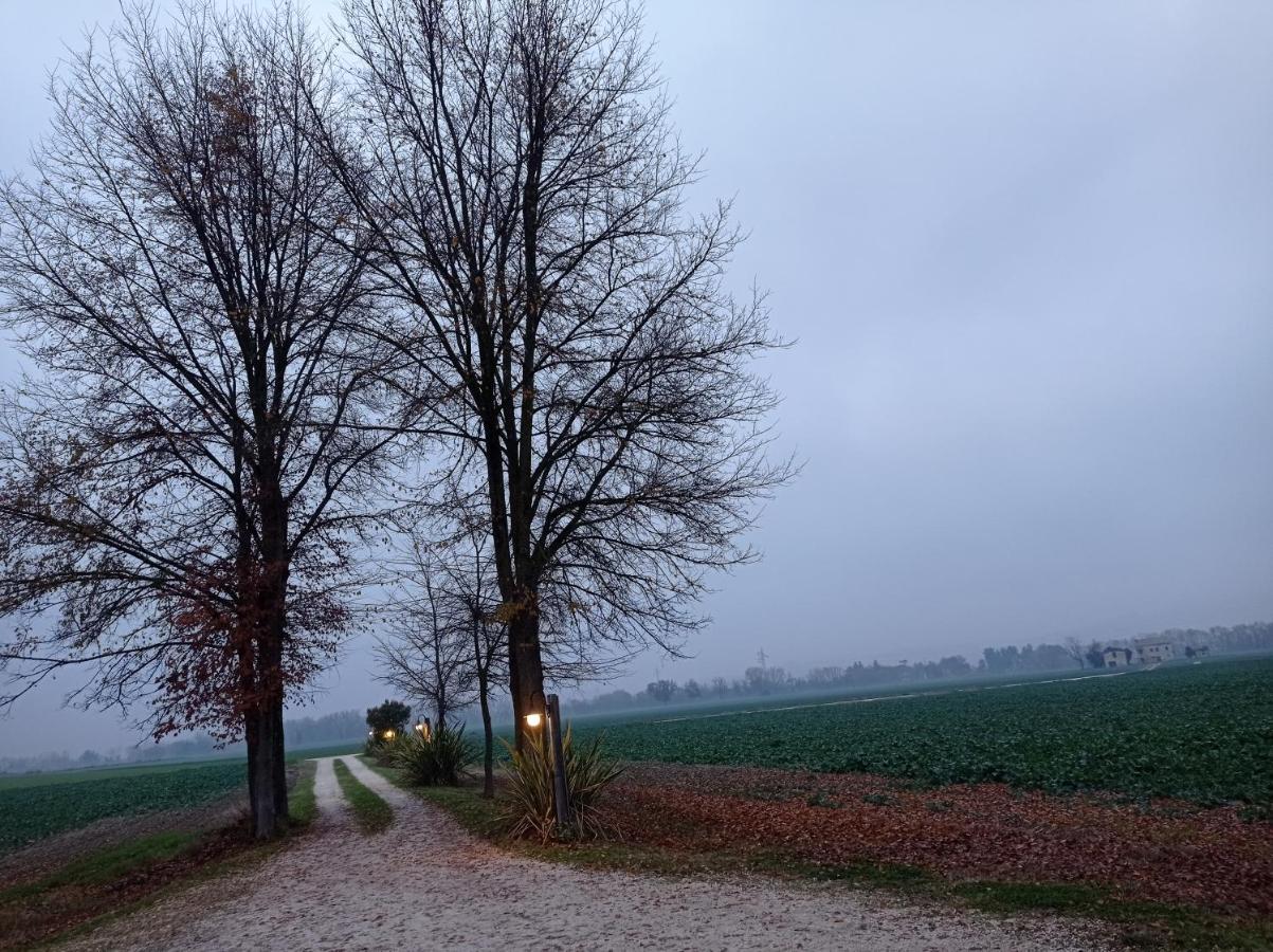 La Casa di Tara B&B Armonia e Natura Recanati Esterno foto