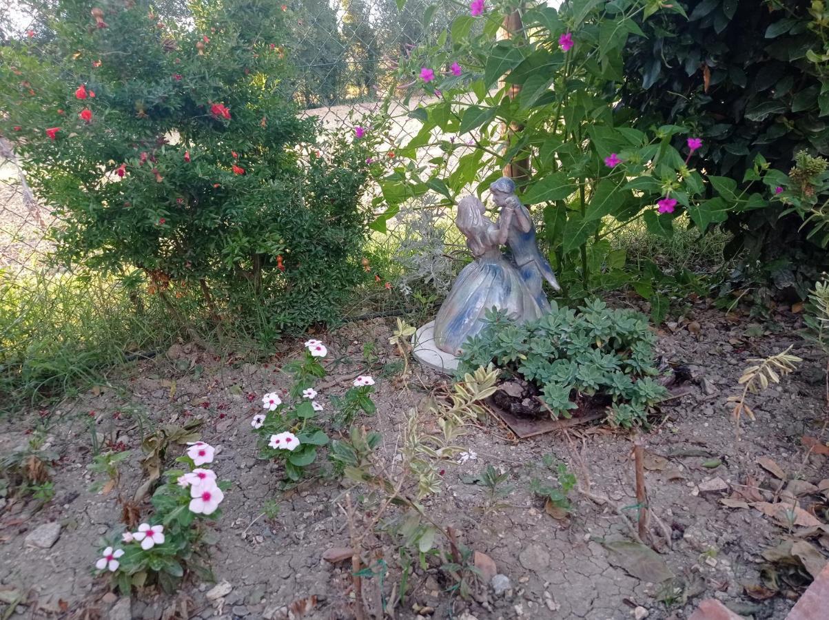La Casa di Tara B&B Armonia e Natura Recanati Esterno foto