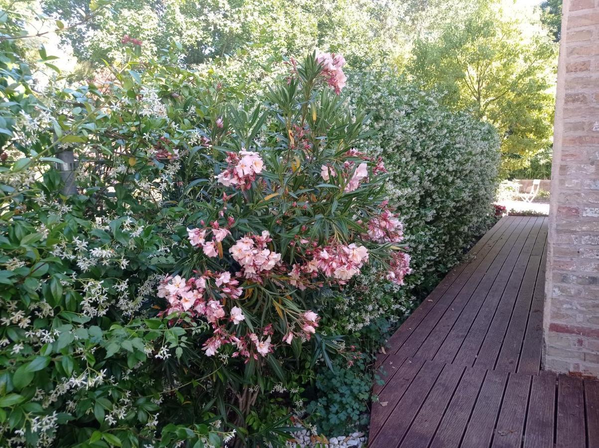 La Casa di Tara B&B Armonia e Natura Recanati Esterno foto