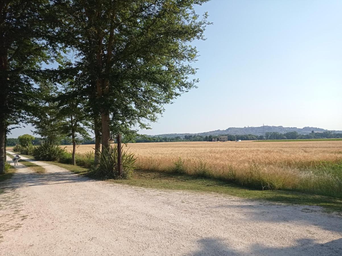 La Casa di Tara B&B Armonia e Natura Recanati Esterno foto