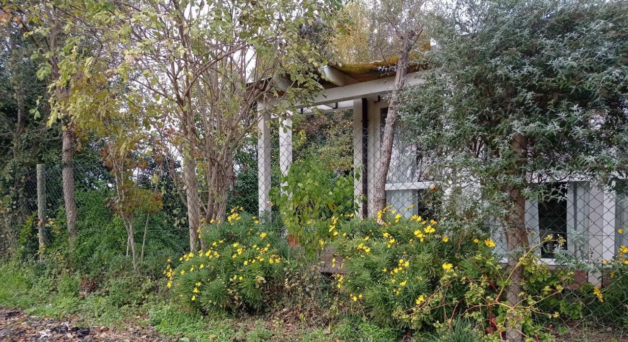 La Casa di Tara B&B Armonia e Natura Recanati Esterno foto