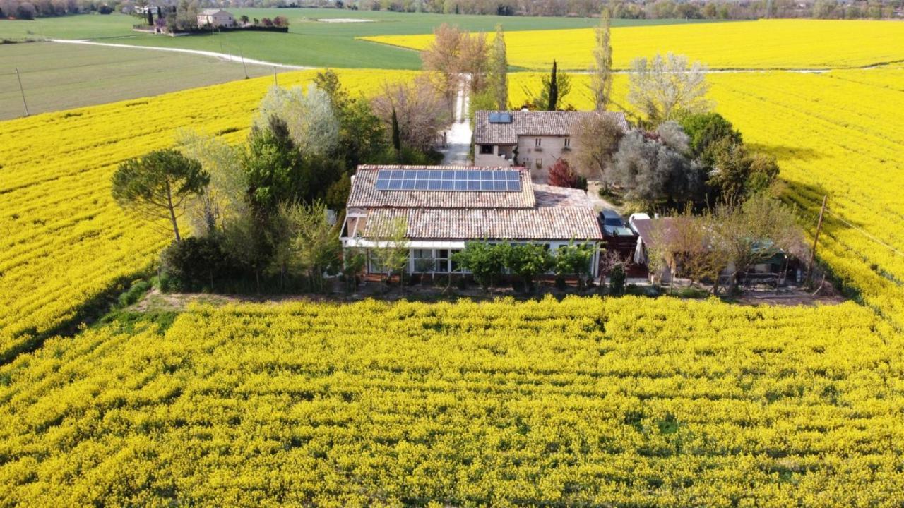 La Casa di Tara B&B Armonia e Natura Recanati Esterno foto