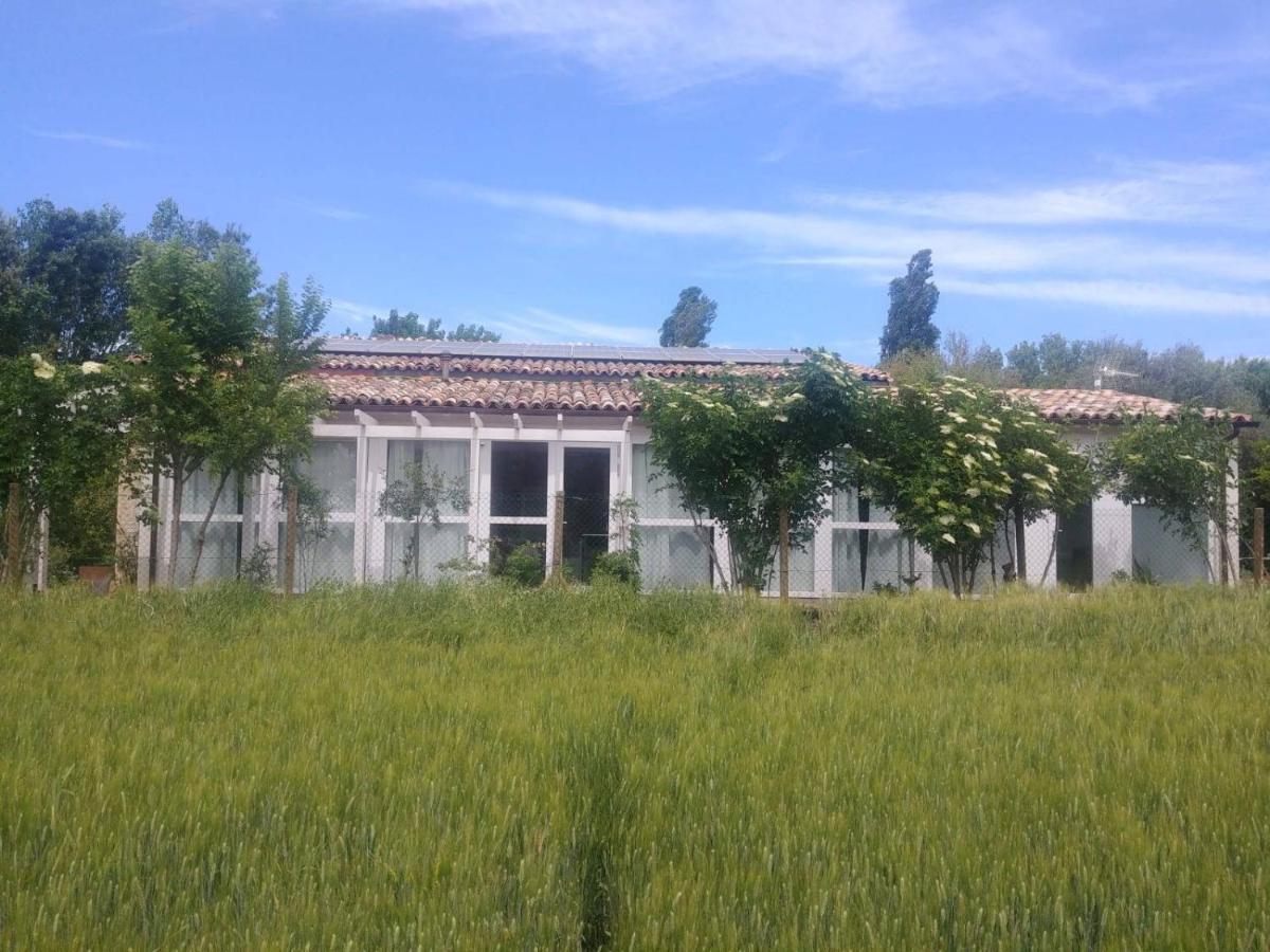 La Casa di Tara B&B Armonia e Natura Recanati Esterno foto