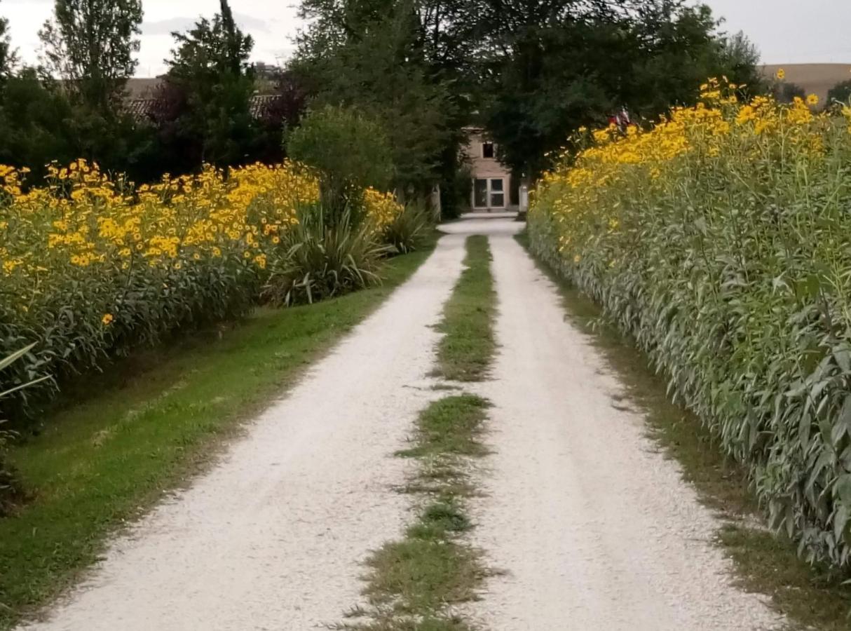 La Casa di Tara B&B Armonia e Natura Recanati Esterno foto