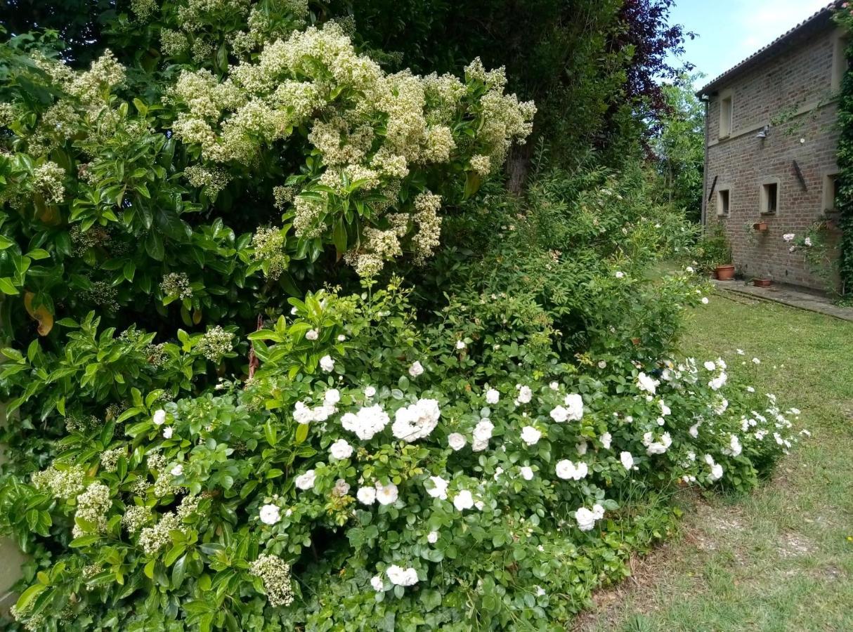 La Casa di Tara B&B Armonia e Natura Recanati Esterno foto